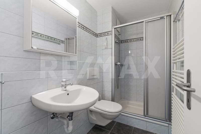 5½-Zimmer-Wohnung inkl. Keller & Tiefgaragenplatz viel Platz für die Familie (7)