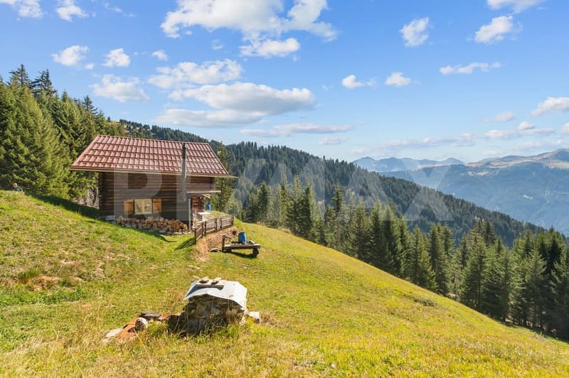 Maiensäss mit traumhafter Aussicht (2)