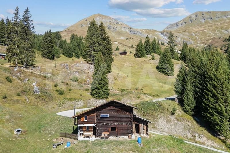 Maiensäss mit traumhafter Aussicht (9)
