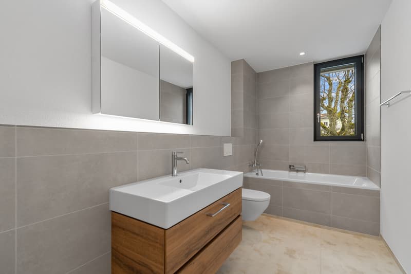 Disponible immédiatement ou sur arrangement (8)