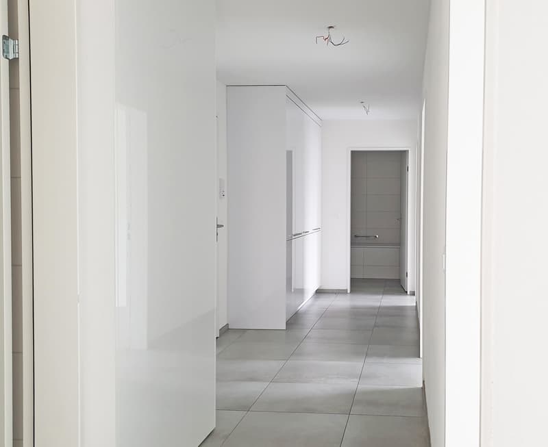 Appartement 4,5 pièces avec tour de buanderie privée (6)