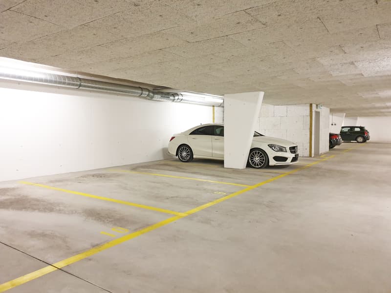 Appartement 4,5 pièces avec tour de buanderie privée (12)