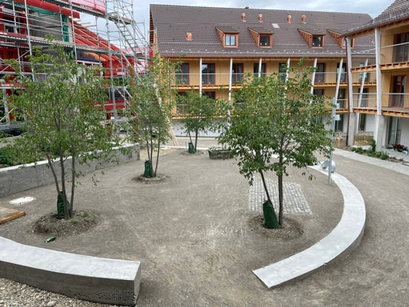 Ihr neues Zuhause (2)