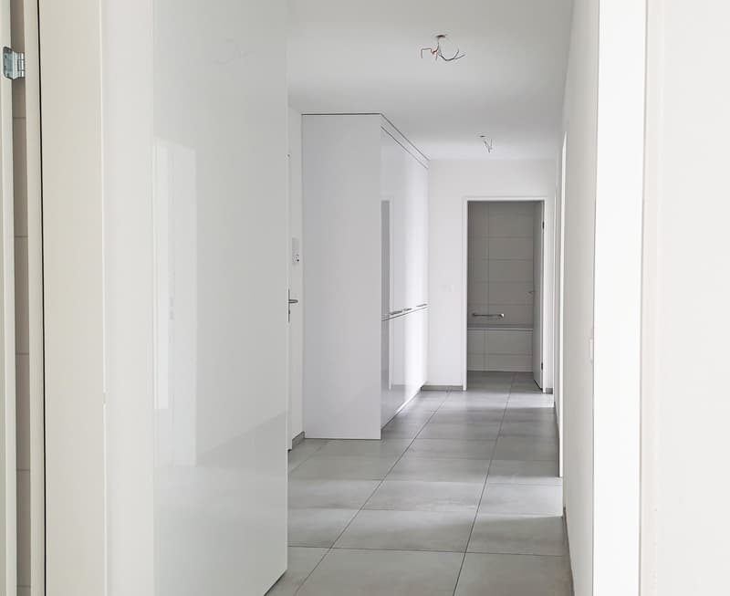 2.5-Room Apartment in Eglisau (2)
