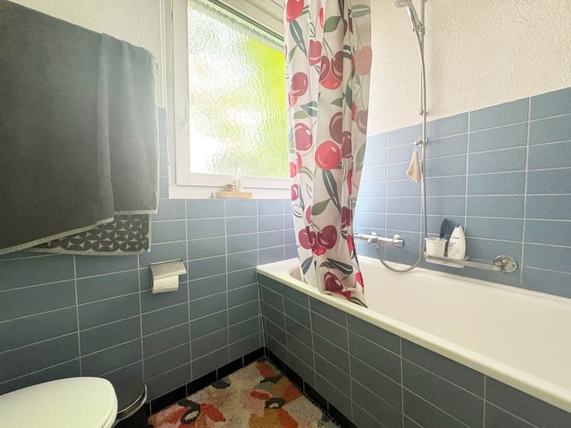 2.5-Zimmer Wohnung im ruhigen Quartier (7)