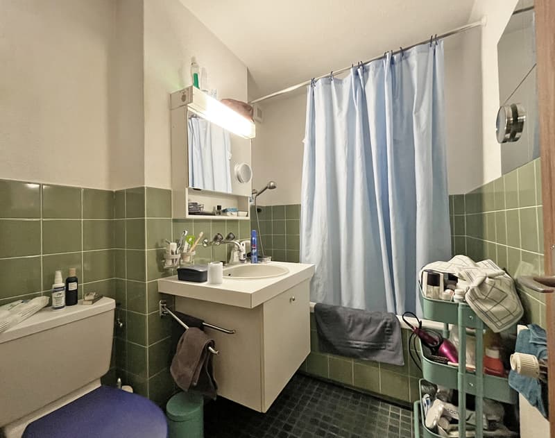 Appartement 3.5 pièces dans un quartier calme (6)