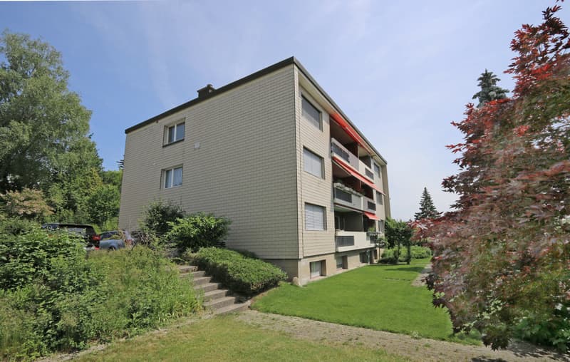 Appartement 3.5 pièces dans un quartier calme (8)