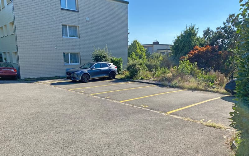 Appartement 3.5 pièces dans un quartier calme (10)
