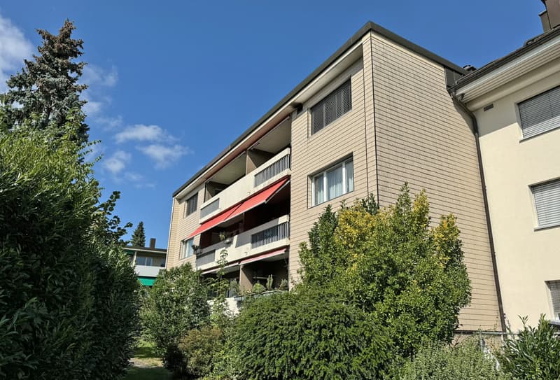 Appartement 3.5 pièces dans un quartier calme (9)