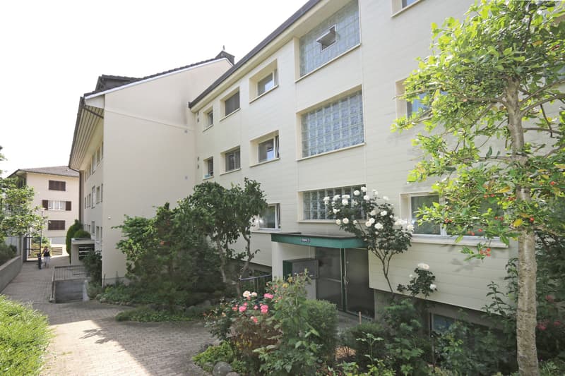 Appartement 3.5 pièces dans un quartier calme (7)