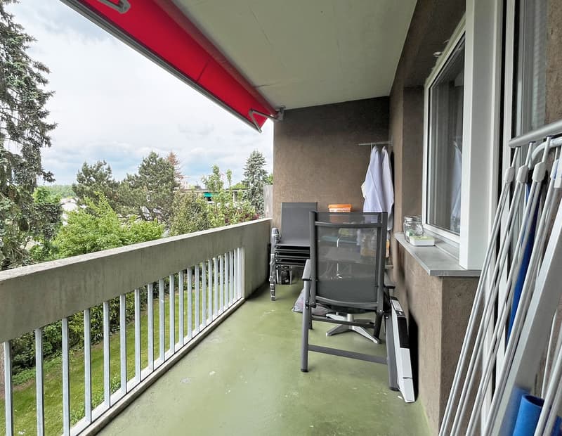 Appartement 3.5 pièces dans un quartier calme (3)