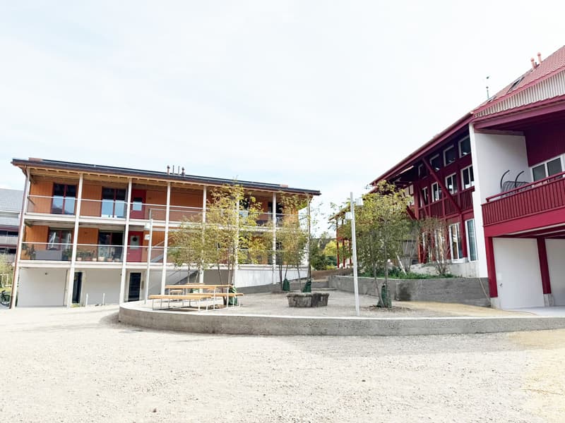 Nicht alltägliche 4.5 Zimmerwohnung / 1. Obergeschoss (1)