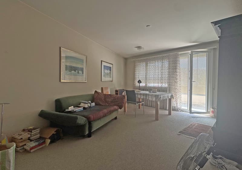 3.0 room apartment with private laundry tower (3)