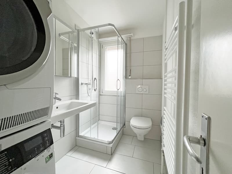 3.0 room apartment with private laundry tower (6)