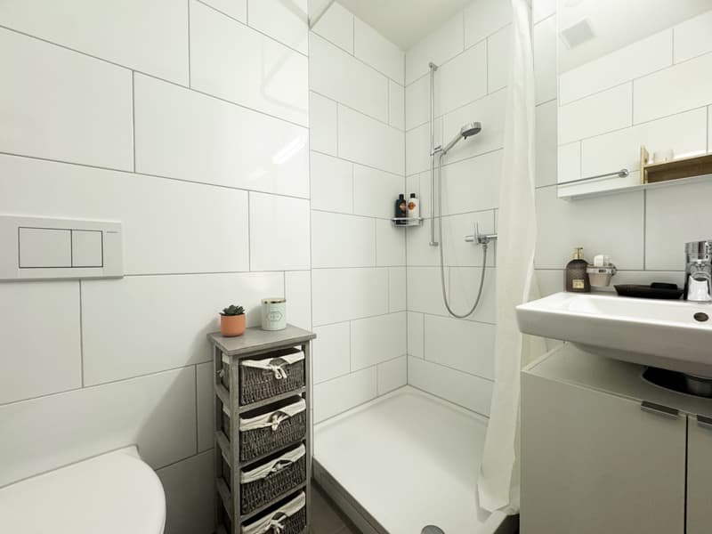 Appartamento di 4,5 locali con torre di lavanderia privata (8)