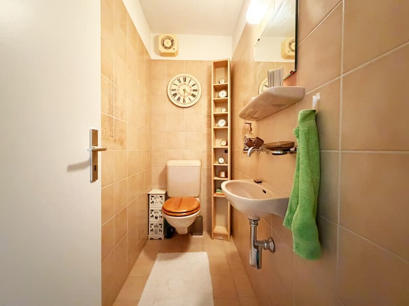3.5 Zimmer Wohnung mit Cheminée und eigener Waschturm (9)