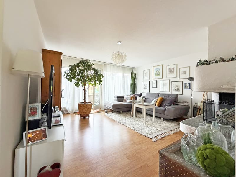 3.5 Zimmer Wohnung mit Cheminée und eigener Waschturm (4)