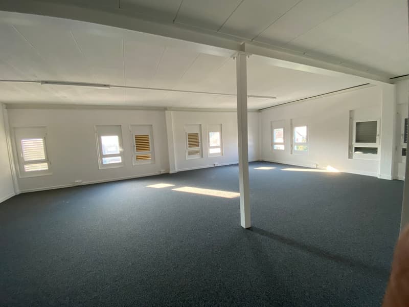 spacious room with white walls, grey carpet, windows with shutters, ceiling with lighting