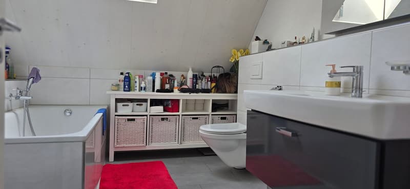 Bathroom with bathtub, toilet, sink, storage baskets, shelving with products, red rug
