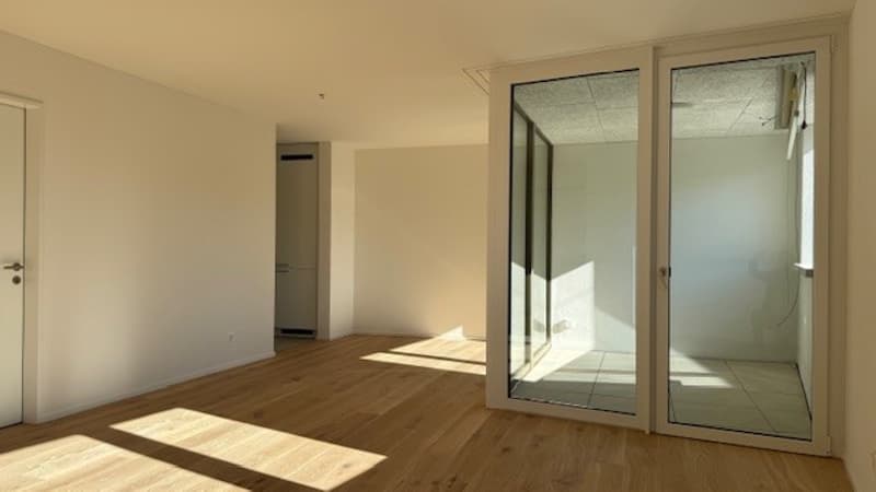 Edificio nuovo centrale a Weinfelden (2)