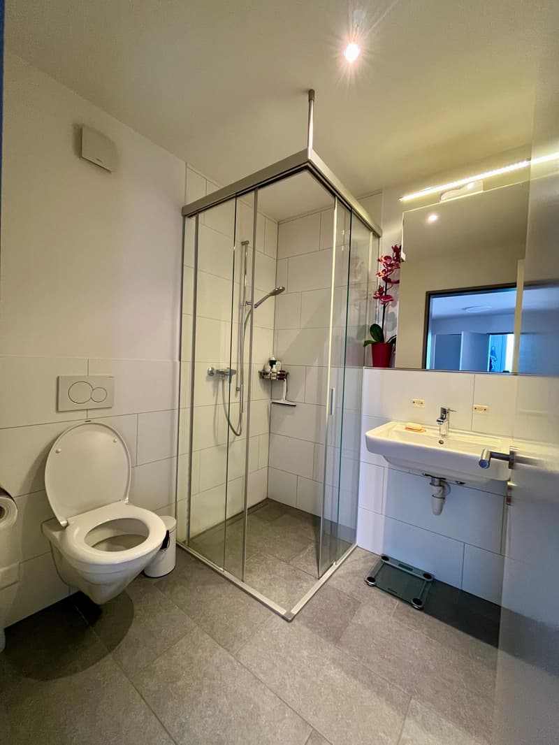 Appartement 4 pièces lumineux avec balcon dans un quartier calme – Wiesendangen (11)