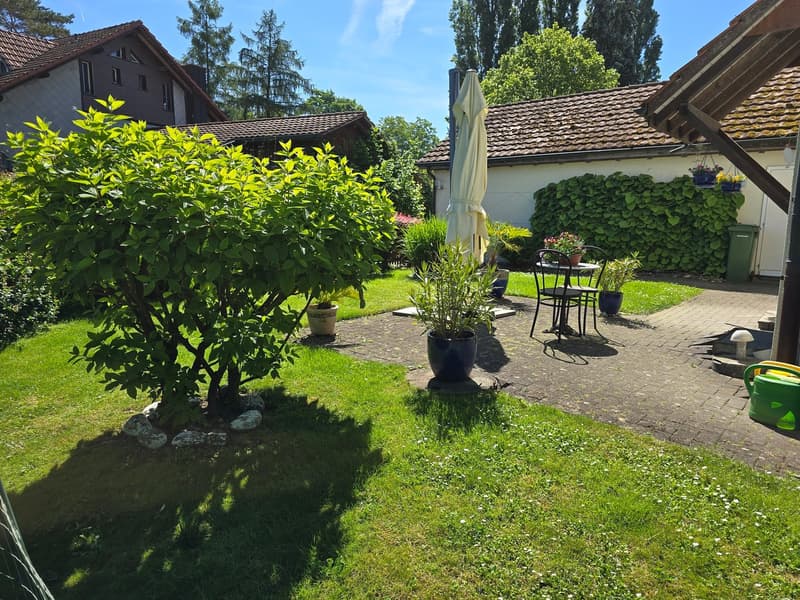 Püntenstrasse 10, Frauenfeld, Erzenholz