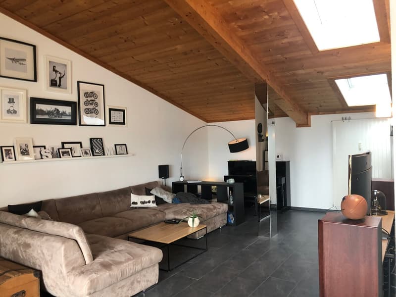 Appartamento con terrazza & serra (1)