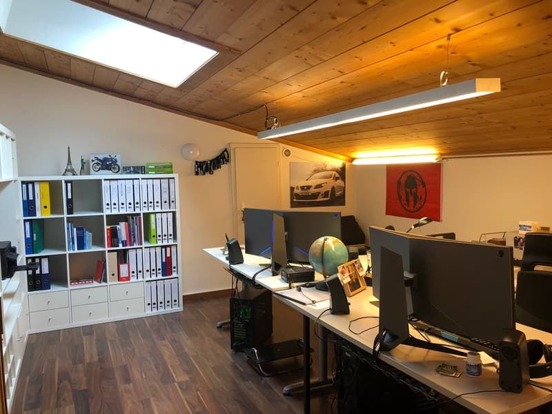 Appartamento con terrazza & serra (8)