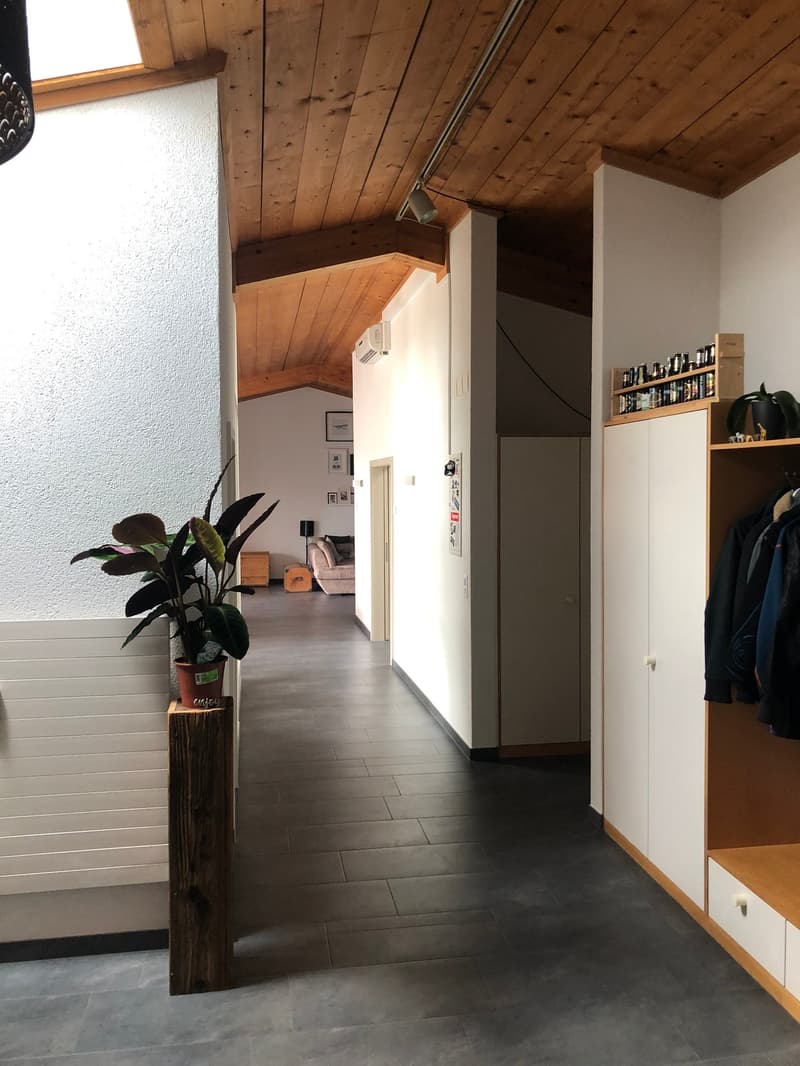 Appartamento con terrazza & serra (7)