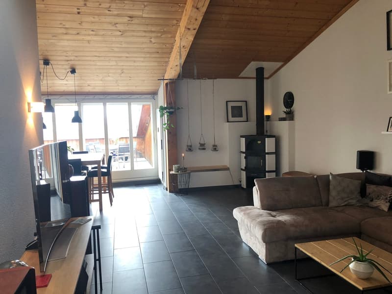Appartamento con terrazza & serra (2)