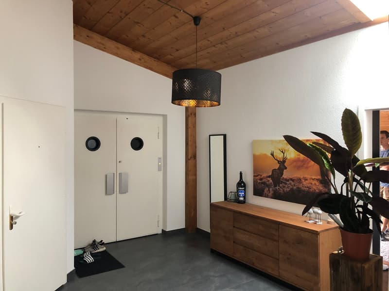 Appartamento con terrazza & serra (6)