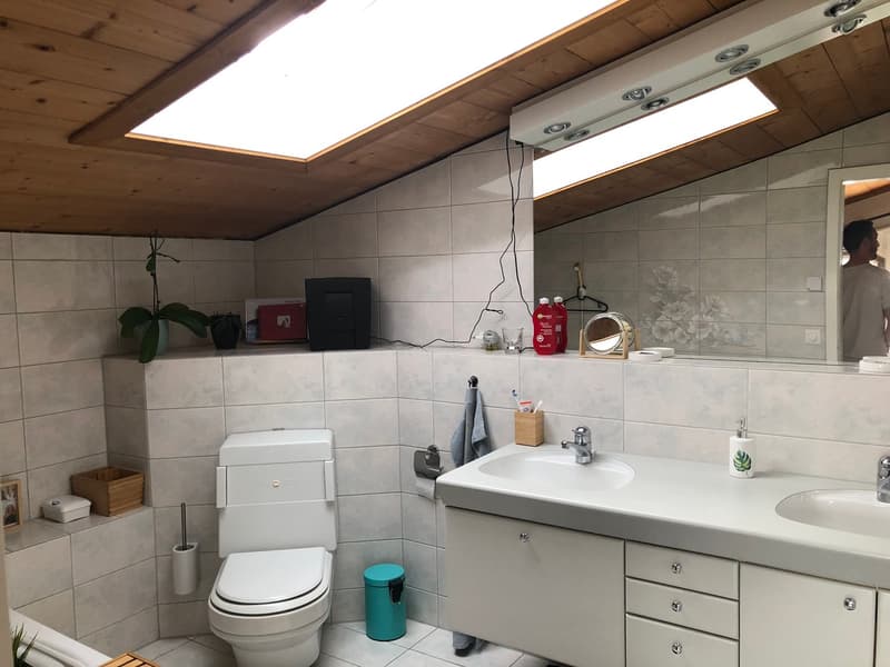 Appartamento con terrazza & serra (10)