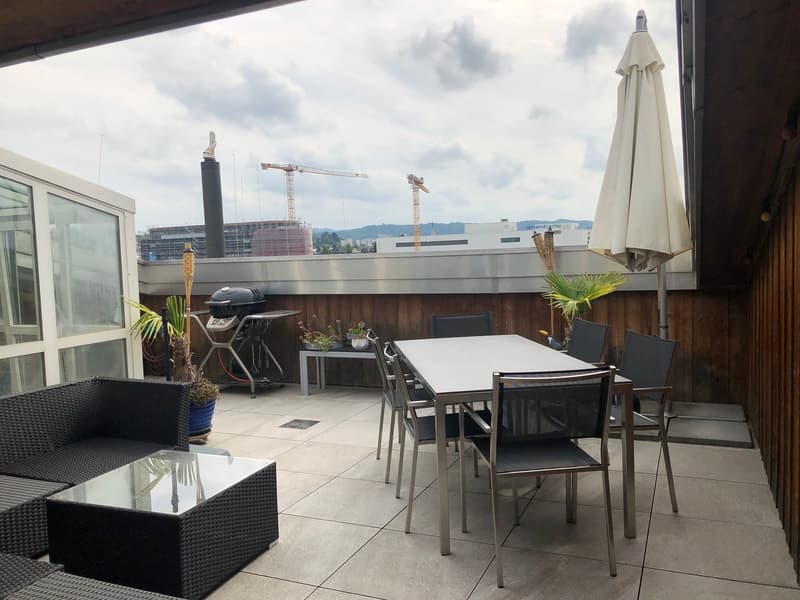 Appartamento con terrazza & serra (3)