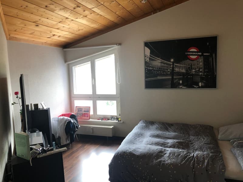Appartamento con terrazza & serra (9)