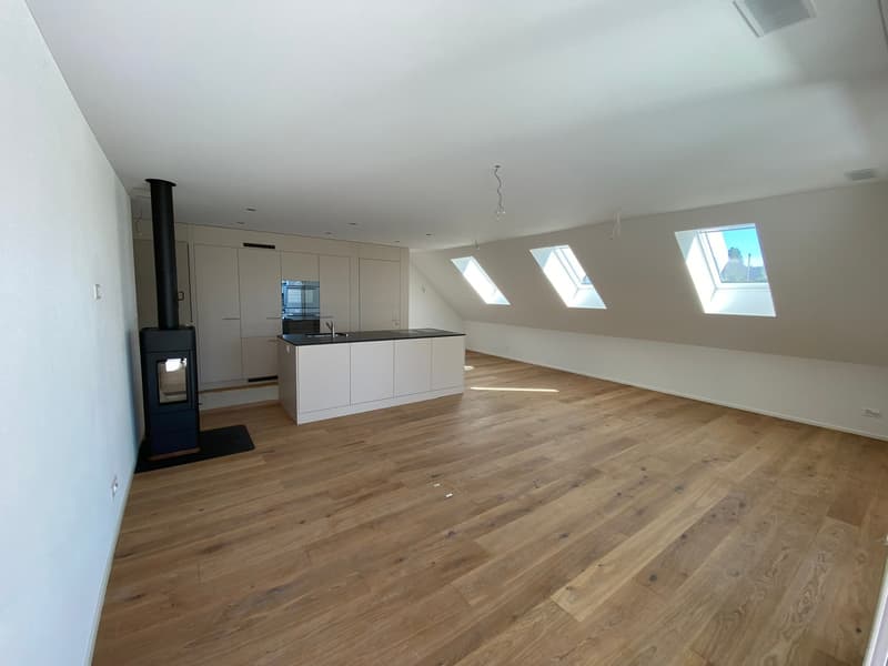 Moderne 4.5-Zimmer-Dachwohnung (2)