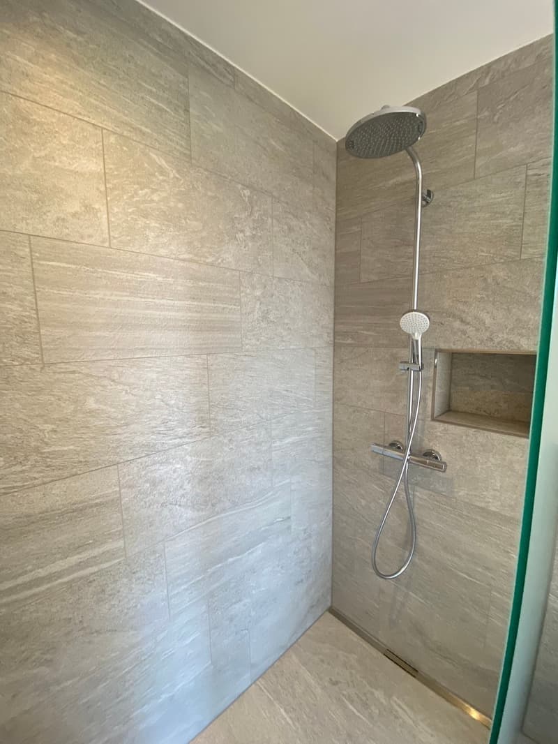 Moderne 4.5-Zimmer-Dachwohnung (4)