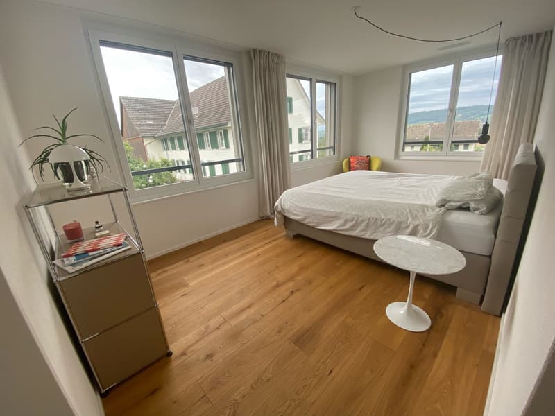 Appartement moderne 4.5 pièces à Rothenhausen (3)