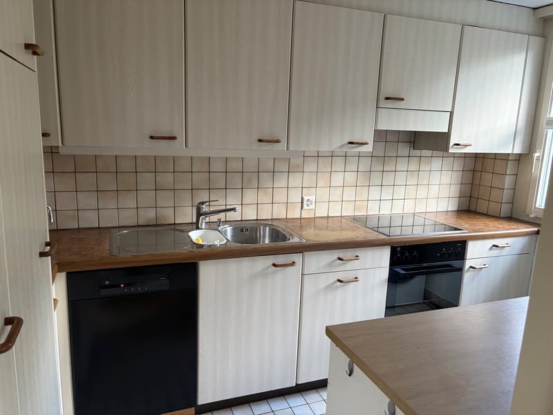 Ruhiges Wohnen nähe Frauenfeld (2)