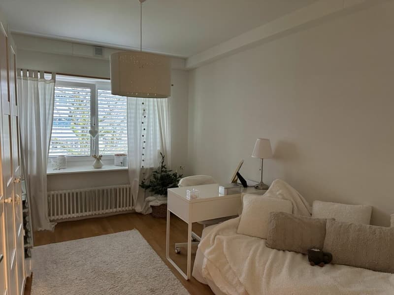 Appartamento moderno 3.5 locali con torre di lavanderia privata (6)