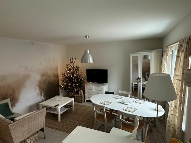 Appartamento moderno 3.5 locali con torre di lavanderia privata (3)