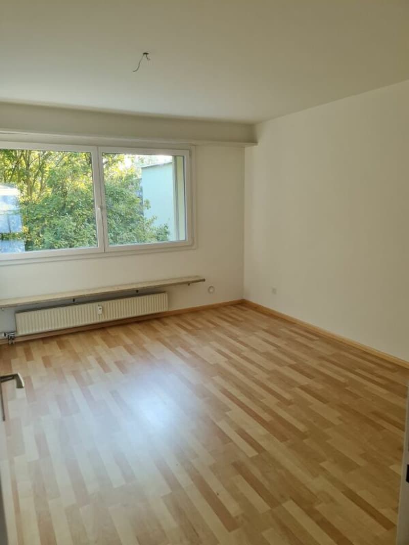 Appartamento luminoso 4.5 locali con posto giardino (4)