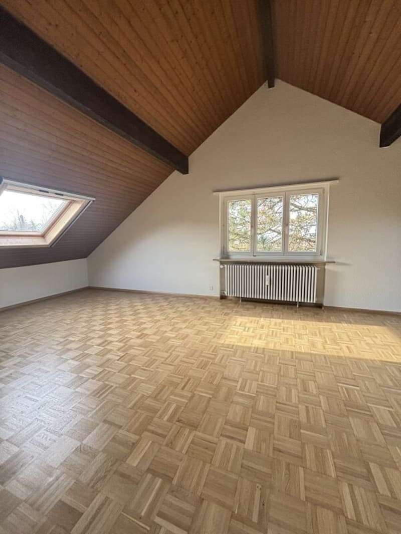 Appartement spacieux 2.5 pièces dans un quartier calme (3)