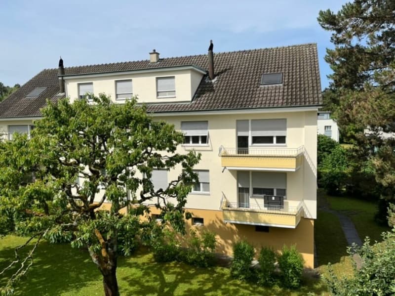 Appartement spacieux 2.5 pièces dans un quartier calme (4)