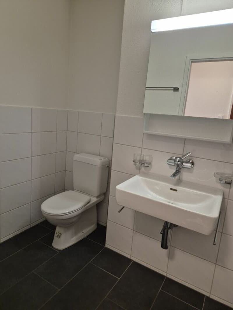 Geräumige 2.5-Zimmerwohnung an beliebter Lage (2)