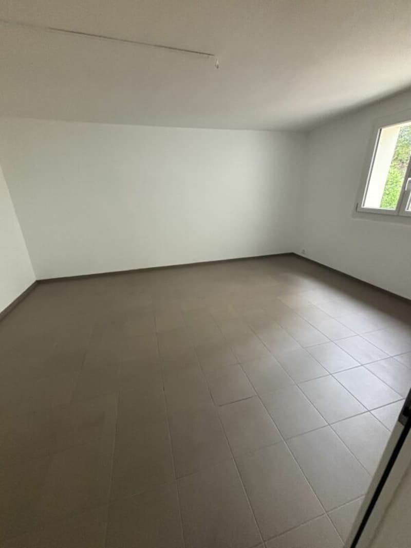 Espace commercial/bureautique spacieux (3)