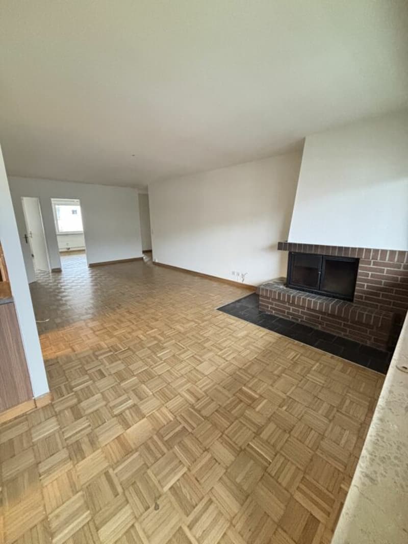 Appartement spacieux 4.5 pièces dans un emplacement central (1)