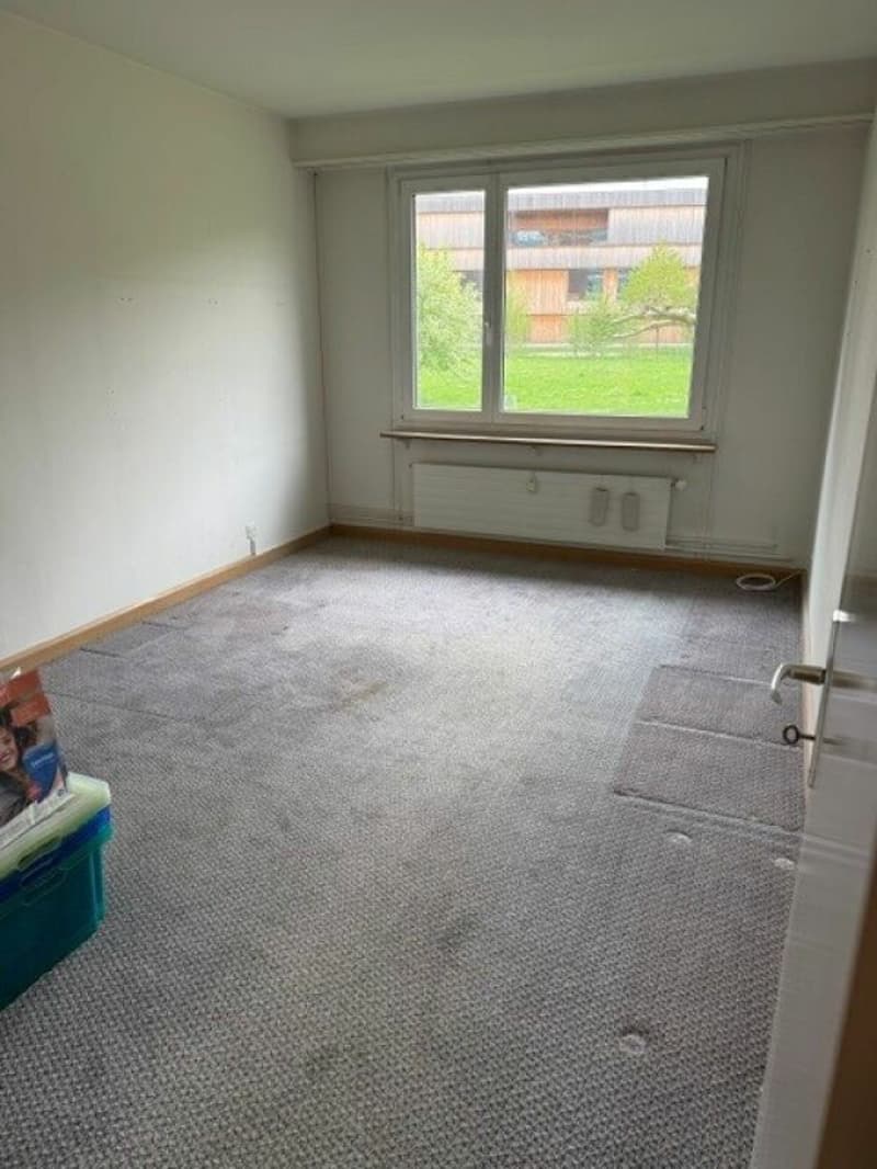 teilsanierte 3.5-Zimmer-Wohnung mit Einstellplatz an ruhiger Lage (5)