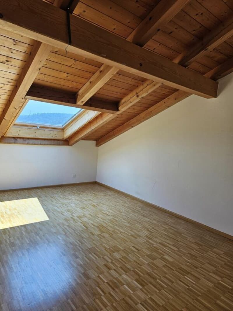 grosse 3.5-Zimmer-Dachwohnung mit eigenem Waschturm (4)