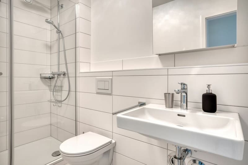 Stylish and modern 3-room apartment (5)