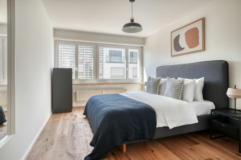 Stylish and modern 3-room apartment (2)